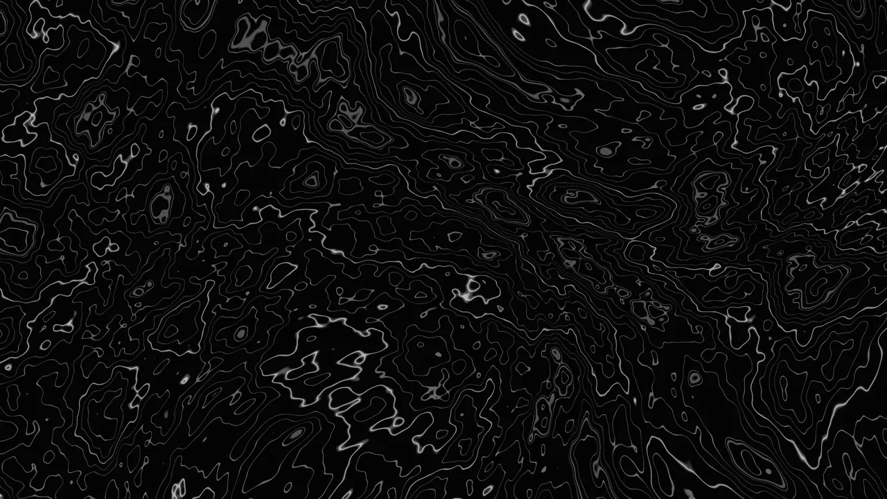 Black and White Topographic Contour Lines 4K Wallpaper