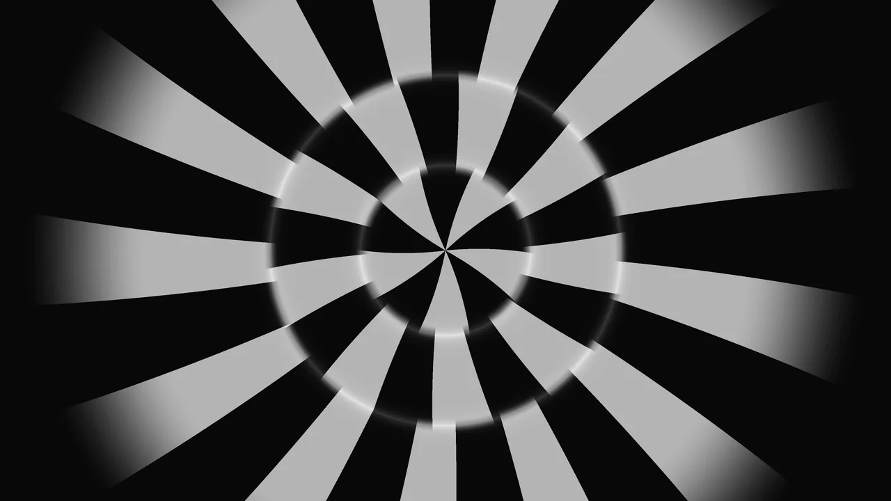 Monochrome Radial Wedges and Concentric Rings 4K Wallpaper