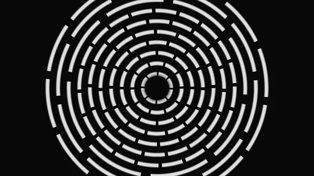 Monochrome Concentric Ring Scanner Interface Wallpaper