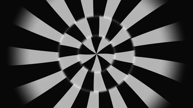 Monochrome Radial Wedges and Concentric Rings 4K Wallpaper