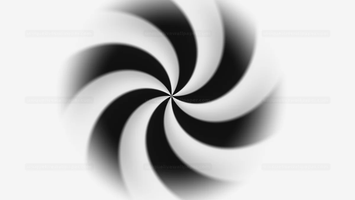 Black and White Abstract Spiral Transition Seamless Loop