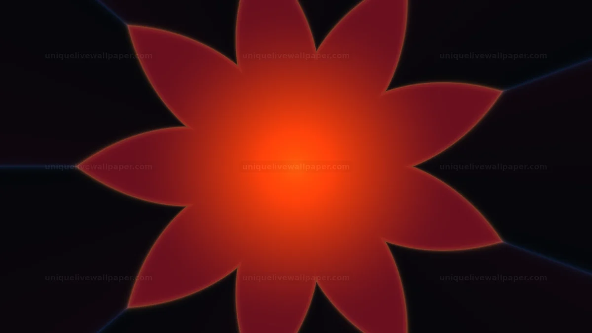 Glowing Red Orange Radial Flower Seamless Loop