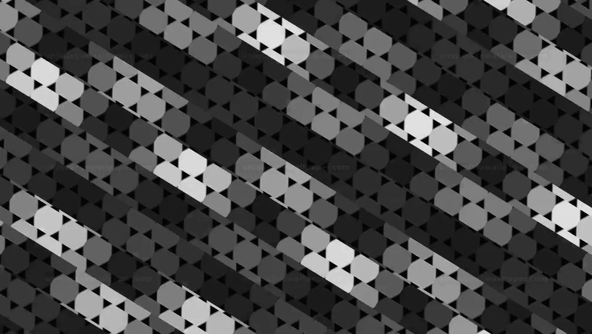 Black and white geometric hexagon wave background shows patterns
