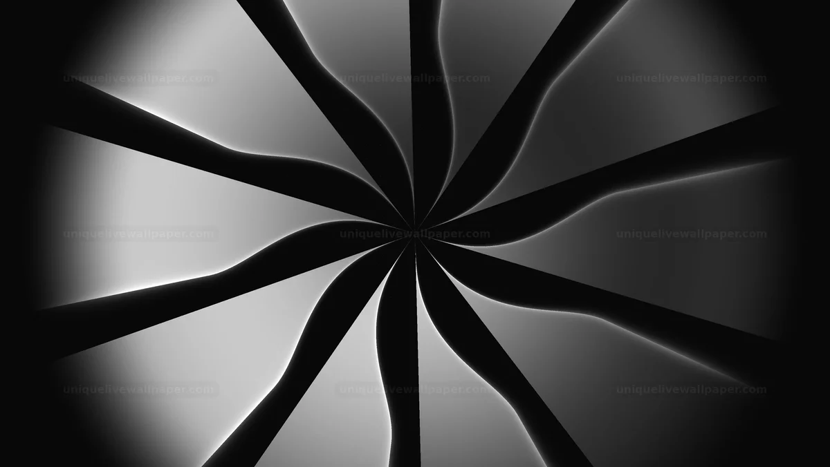 Black and white rotating pinwheel background creates dynamic visuals