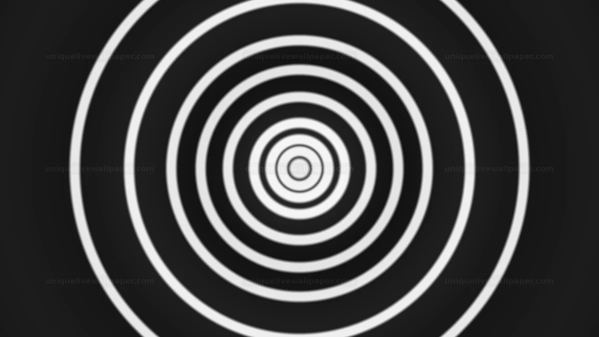 Black and White Concentric Circles Seamless Loop