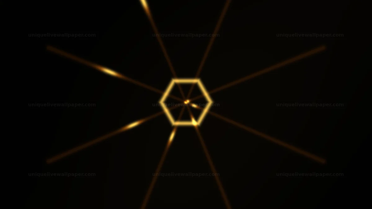 Black and Gold Honeycomb Tunnel Seamless Loop