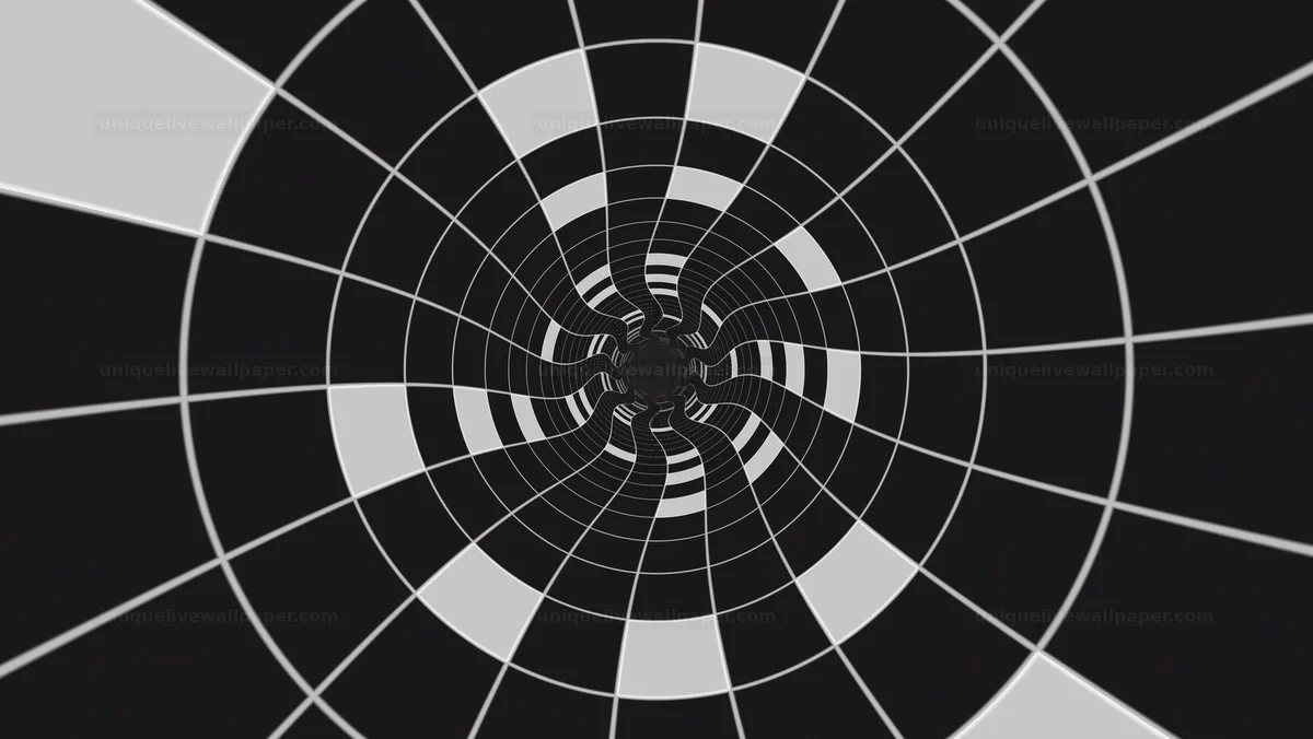 Monochrome Warped Radial Tunnel Seamless Loop